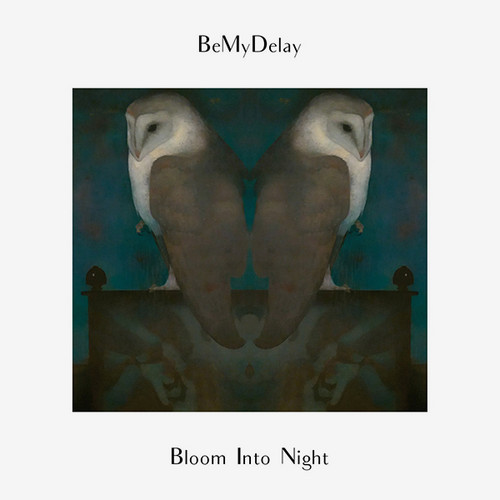 Bloom Into Night