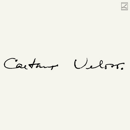 Caetano Veloso (Irene)