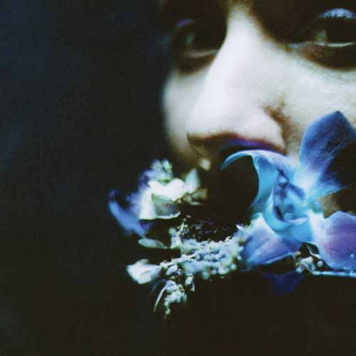 reaching for indigo