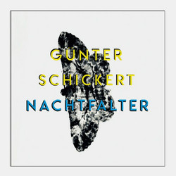 Nachtfalter