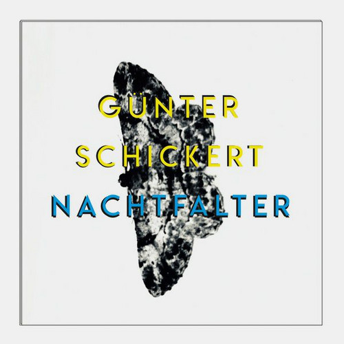 Nachtfalter