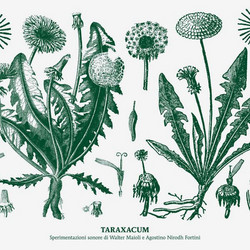 Taraxacum