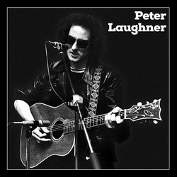 Peter Laughner box set