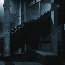Oscillations