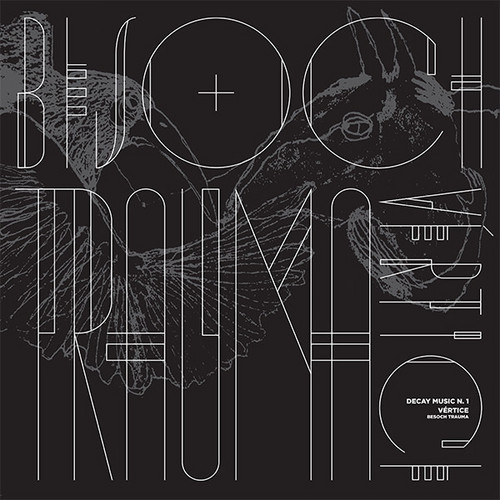 Decay Music n. 1: Besoch Trauma
