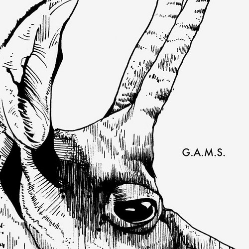 G.A.M.S.