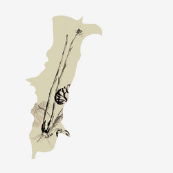 Fino Alla Strada Vecchia