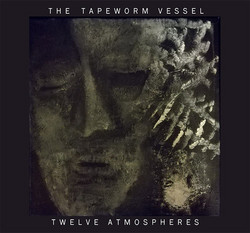 Twelve Atmospheres