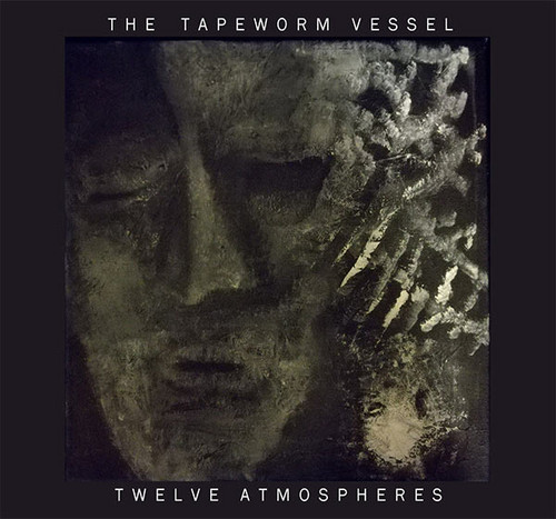 Twelve Atmospheres