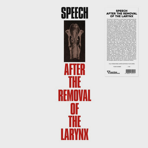 Speech After The Removal Of The Larynx