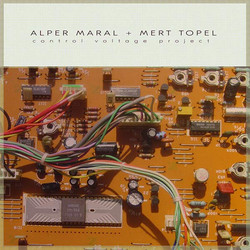 Control Voltage Project
