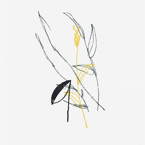 Slow Spark, Soft Spoke
