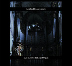 In Tenebris Ratione Organi