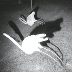 A Mimesis Of Nothingness
