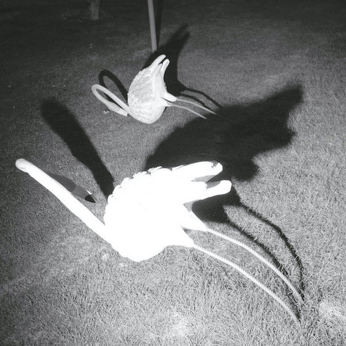 A Mimesis Of Nothingness