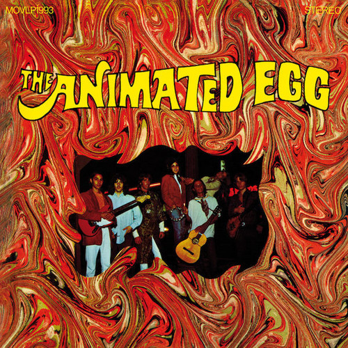 The Animated Egg