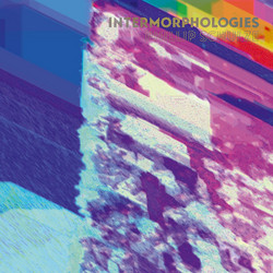 Intermorphologies