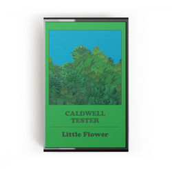 Little Flower