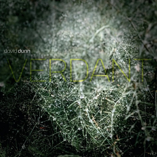 Verdant