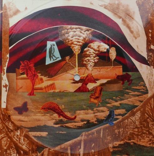 Enchanted Isle Of Entanglement