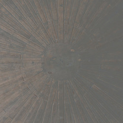 Selva Oscura