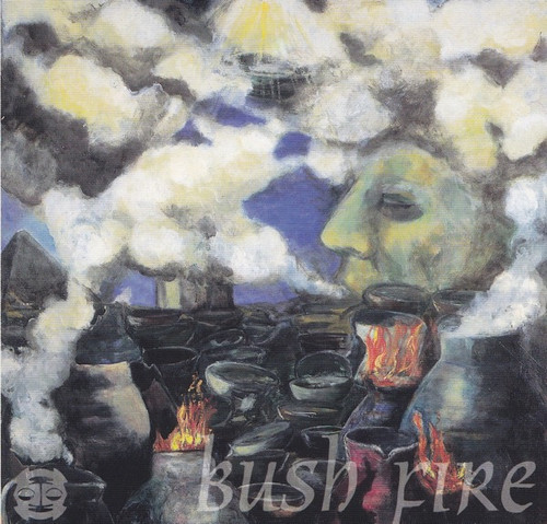 Bush Fire