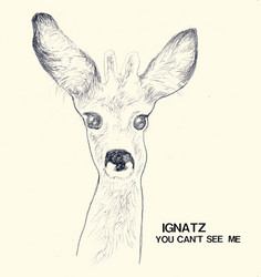 You Can't See Me