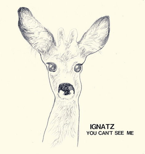 You Can't See Me
