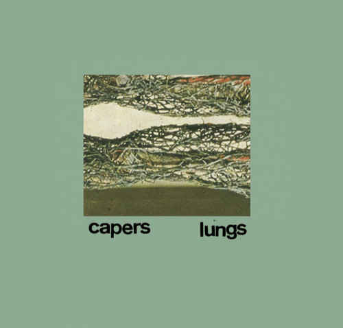 Lungs
