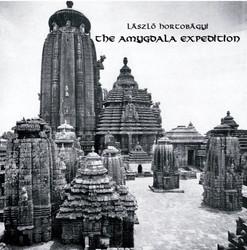 The Amygdala Expedition