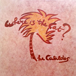 Where Is The Cat?