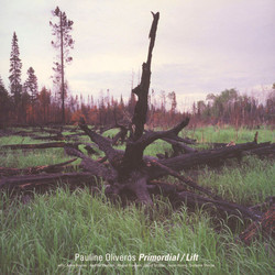 Primordial Lift