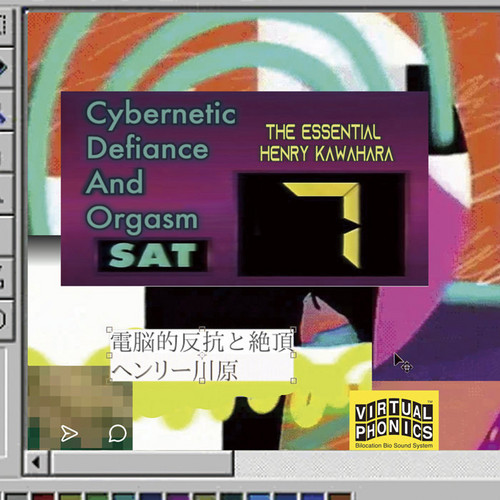 Cybernetic Defiance and Orgasm