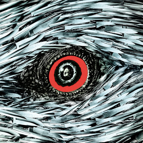 L'uccello dalle piume di cristallo