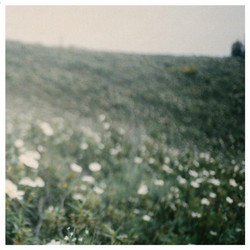 Classical And Untitled Pieces
