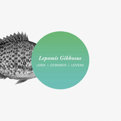 Lepomis Gibbosus