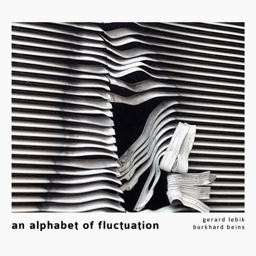 An Alphabet Of Fluctuation