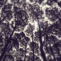 Photosynthesis 