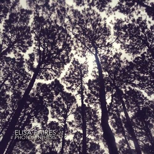 Photosynthesis 