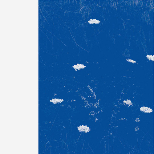 Flare Blues (LP)