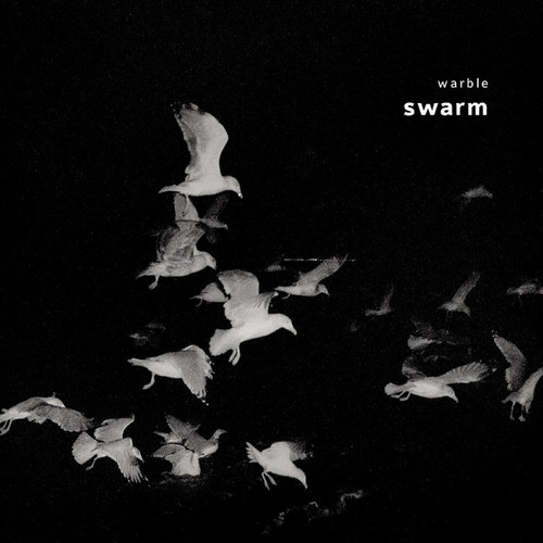 Swarm