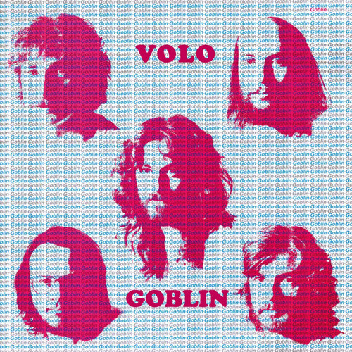 Volo