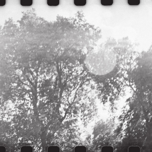 A Still From The Film
