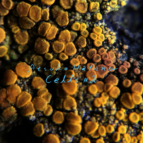 Cells #2 