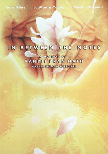 In Between The Notes : A Portrait Of Pandit Pran Nath