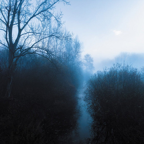  The Blue Horizon
