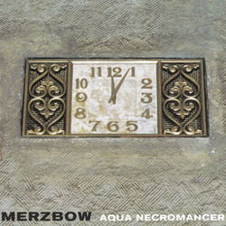 Aqua Necromancer