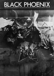 Black Phoenix: Third World Perspective on Contemporary Art and Culture (Book)