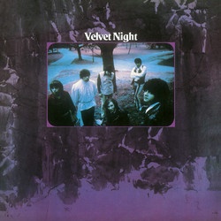 Velvet Night