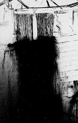 Ma Délire — Songs Of Love, Lost & Found